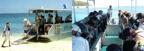 Lady Musgrave Cruises, Great Barrier Reef, Town of 1770