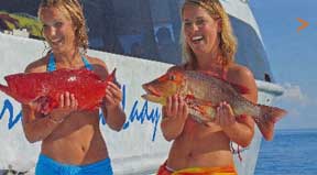 Lady Musgrave Cruises, Great Barrier Reef, Scuba Dive, Snorkelling, Reef Fishing